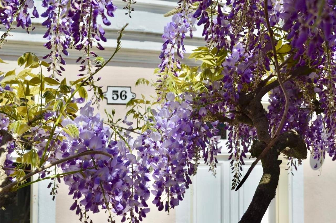 Wisteria Bed & Breakfast ฟงแตนโบล ภายนอก รูปภาพ