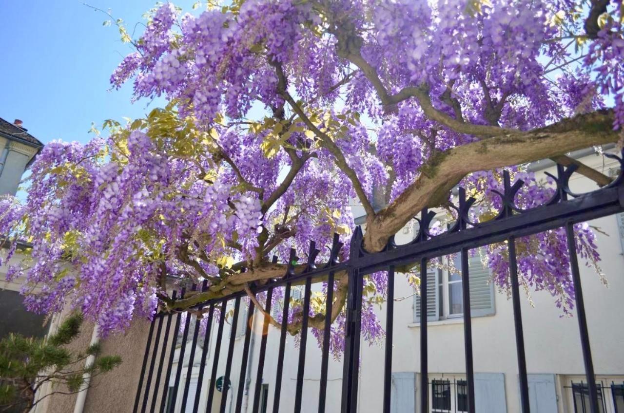 Wisteria Bed & Breakfast ฟงแตนโบล ภายนอก รูปภาพ