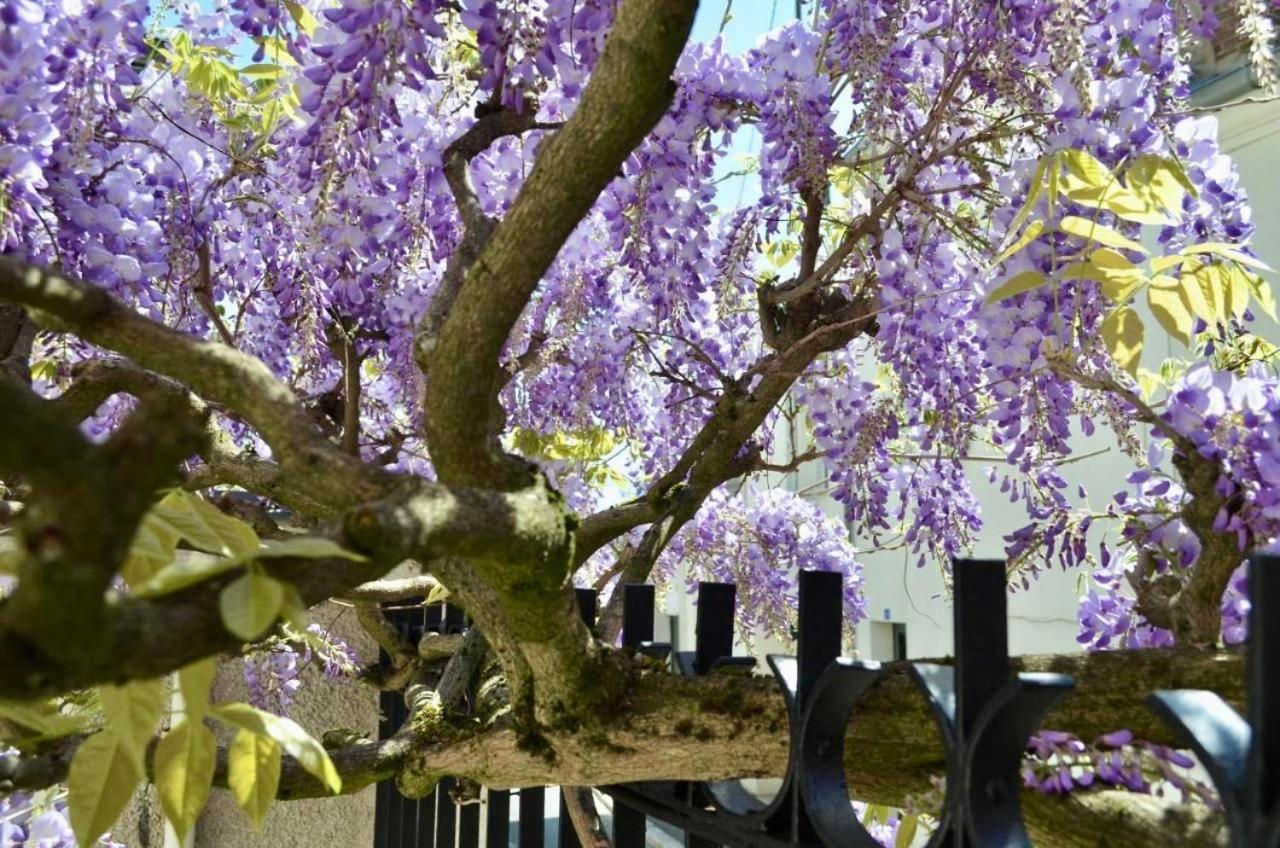 Wisteria Bed & Breakfast ฟงแตนโบล ภายนอก รูปภาพ
